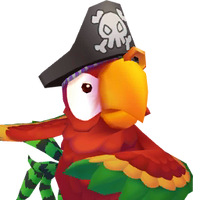 Portrait Pirate Parrot