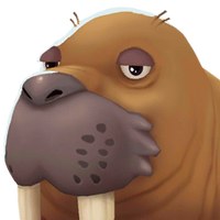 Portrait Walrus