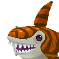 Portrait Tiger Shark