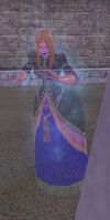 Illusionist3