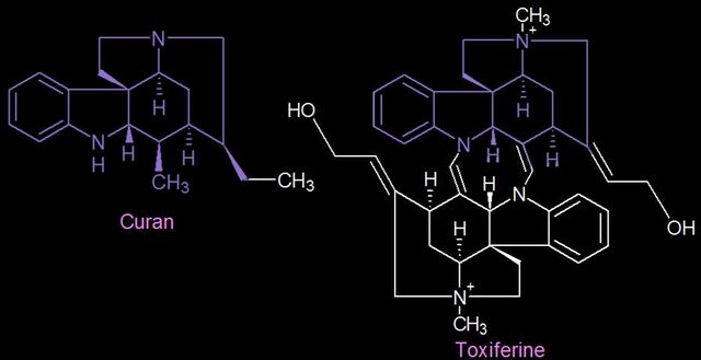 File:Curan toxiferine.jpg