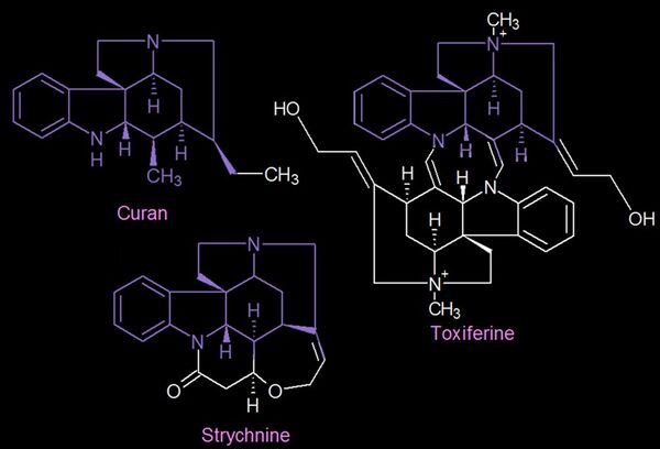 Curan toxiferine strychnine