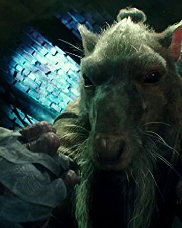Master Splinter Paramount Teenage Mutant Ninja Turtles Wikia Fandom
