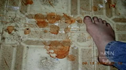 The Poltergeist 3