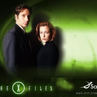 The X Files Parapedia Wiki Fandom