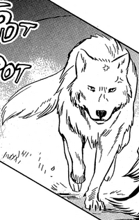 Channingwolf