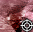 DR Tornado Icon