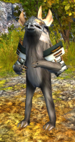 Samurai Sloth