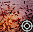 DR Termites Icon
