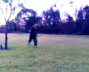 Sam bkick wiki