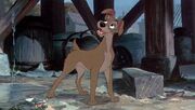 Tramp-disneyscreencaps.com-1487