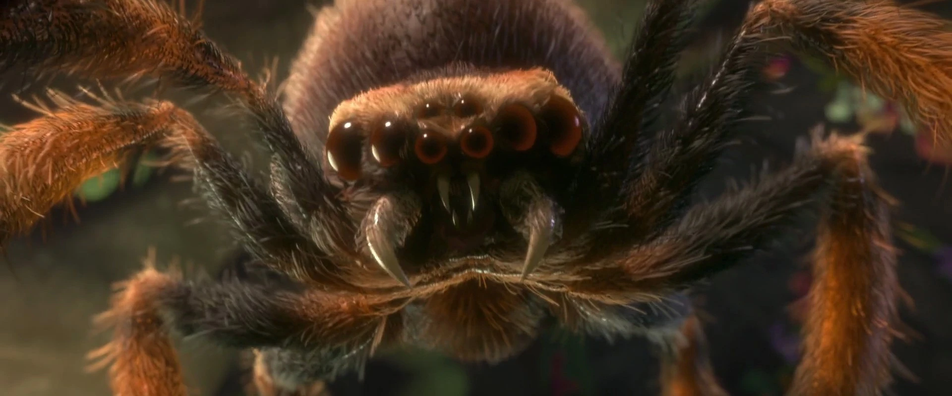 Goliath BirdEater The Parody Wiki FANDOM powered by Wikia