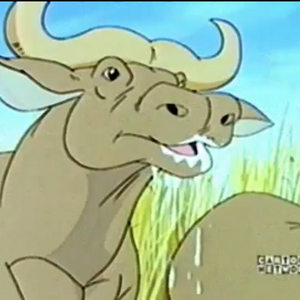 African Cape Buffalo The Parody Wiki Fandom