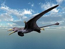 Eudimorphodon NT small