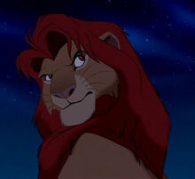 Simba annoyed