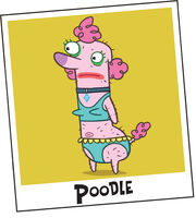 Poodle