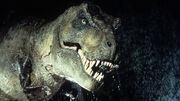 T-rex