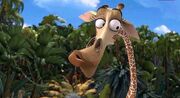 Melman