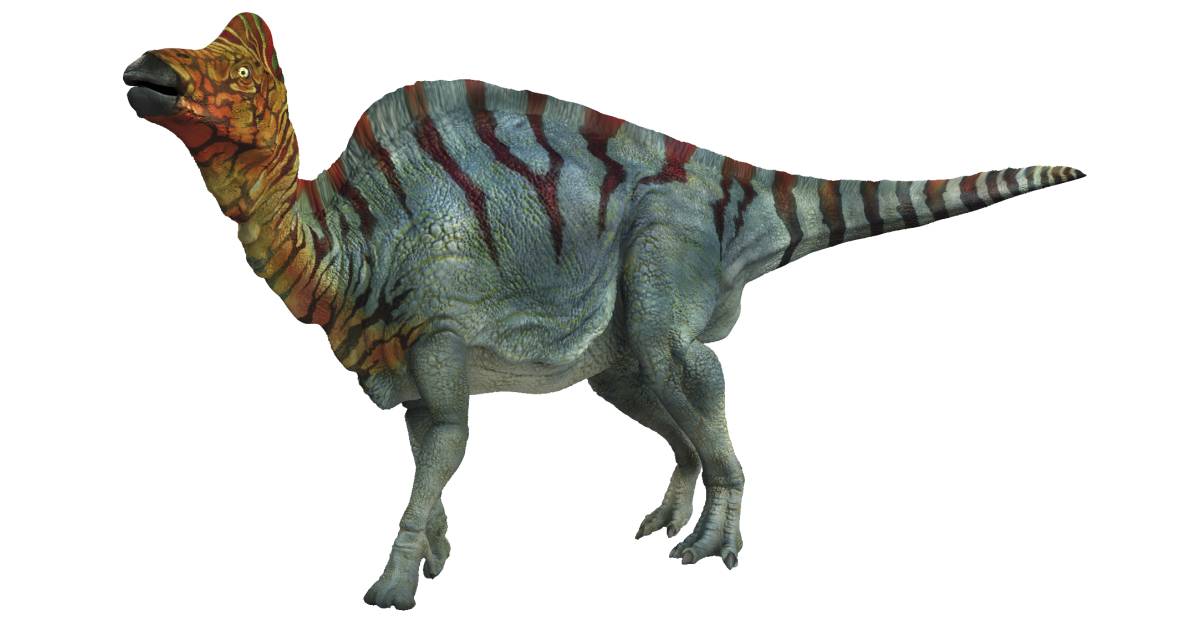 Download Corythosaurus | The Parody Wiki | FANDOM powered by Wikia