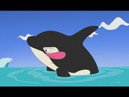 Killer Whale | The Parody Wiki | FANDOM powered by Wikia