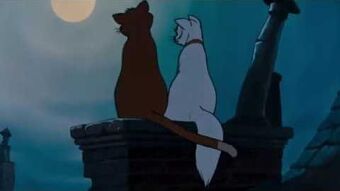 The Cat King The Parody Wiki Fandom