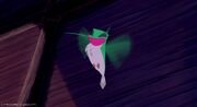 Flit the Hummingbird