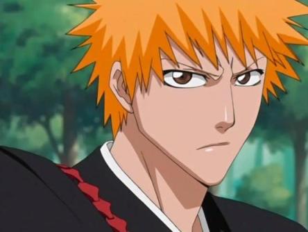 IchigoAnimeEp113 (1)
