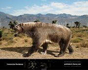 Tremarctos floridanus1-738x591