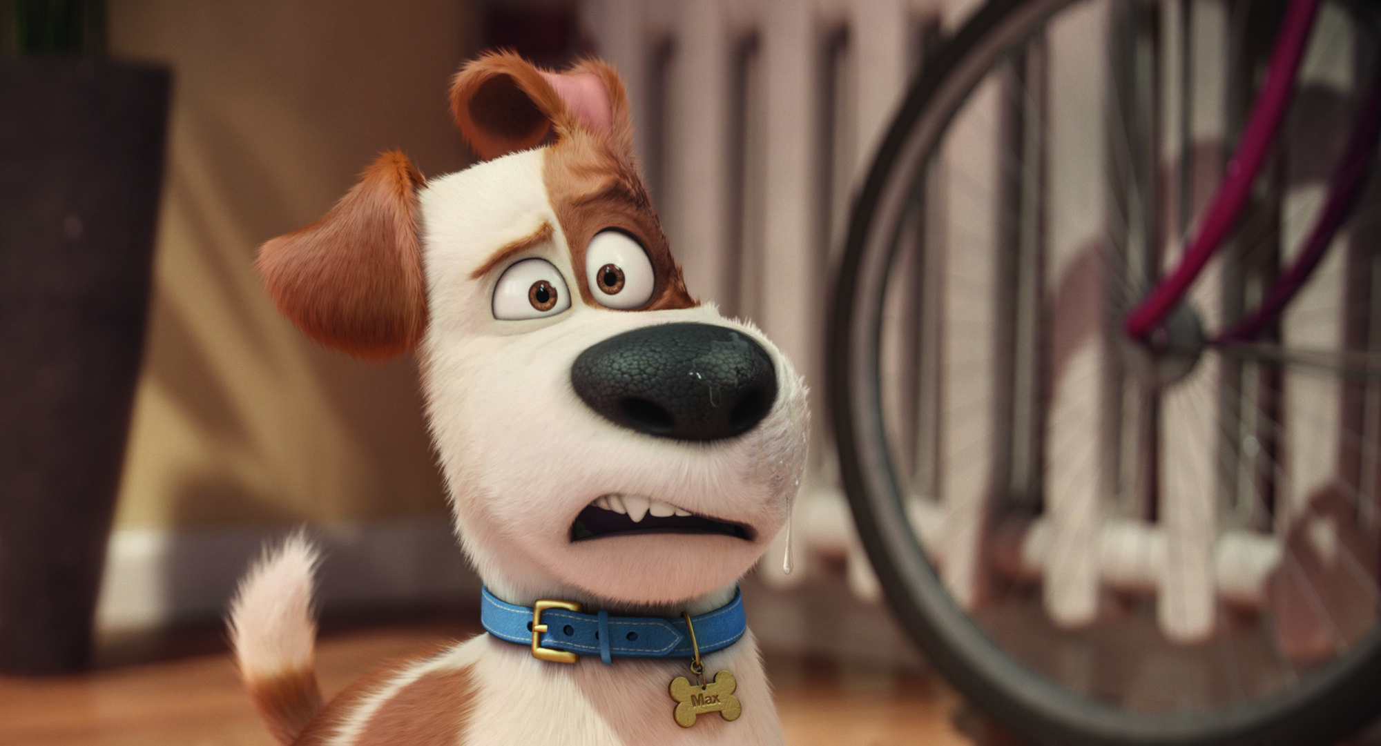 Max (The Secret Life of Pets) | The Parody Wiki | FANDOM powered by Wikia