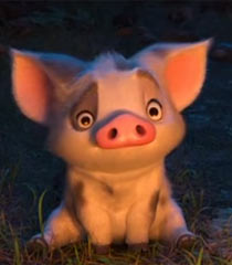 Pua