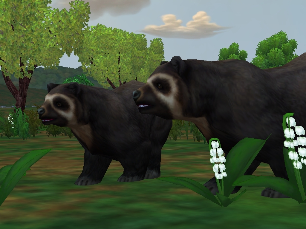 Andean Animals Alphabet The Parody Wiki Fandom Andean Animals Alphabet The Parody Wiki Fandom