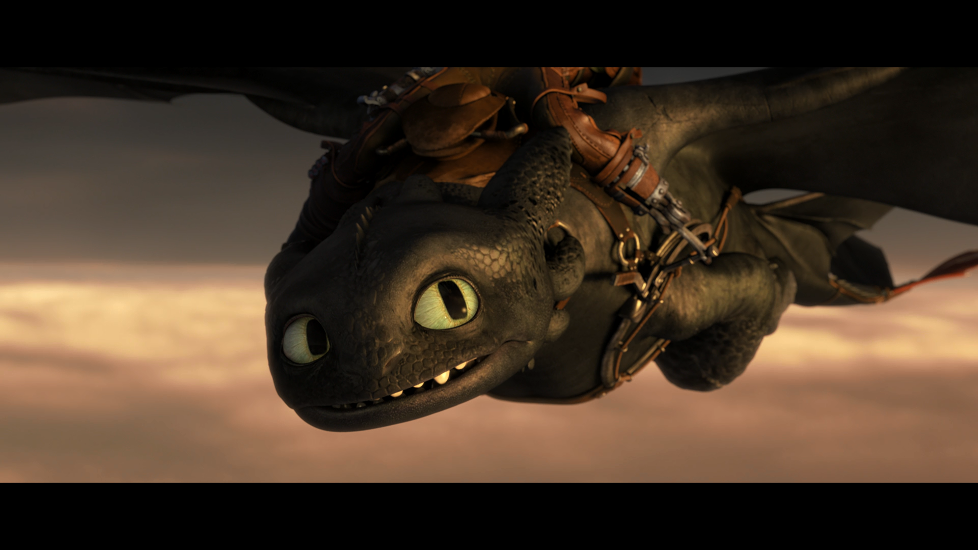 Toothless/Gallery | The Parody Wiki | Fandom