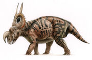 0zV9oeejmd-Dinosaurus - Dinosaur - Dinosaurio - Dinosaure - Einiosaurus001