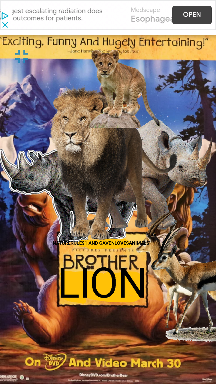 Brother Lion (NatureRules1 and GavenLovesAnimals Style ...