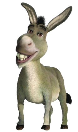 NEW Donkey