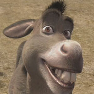 Donkey Shrek The Parody Wiki Fandom