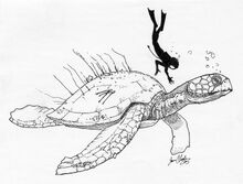 Atlantochelys-restoration