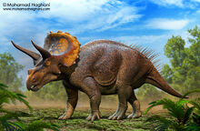 Triceratops