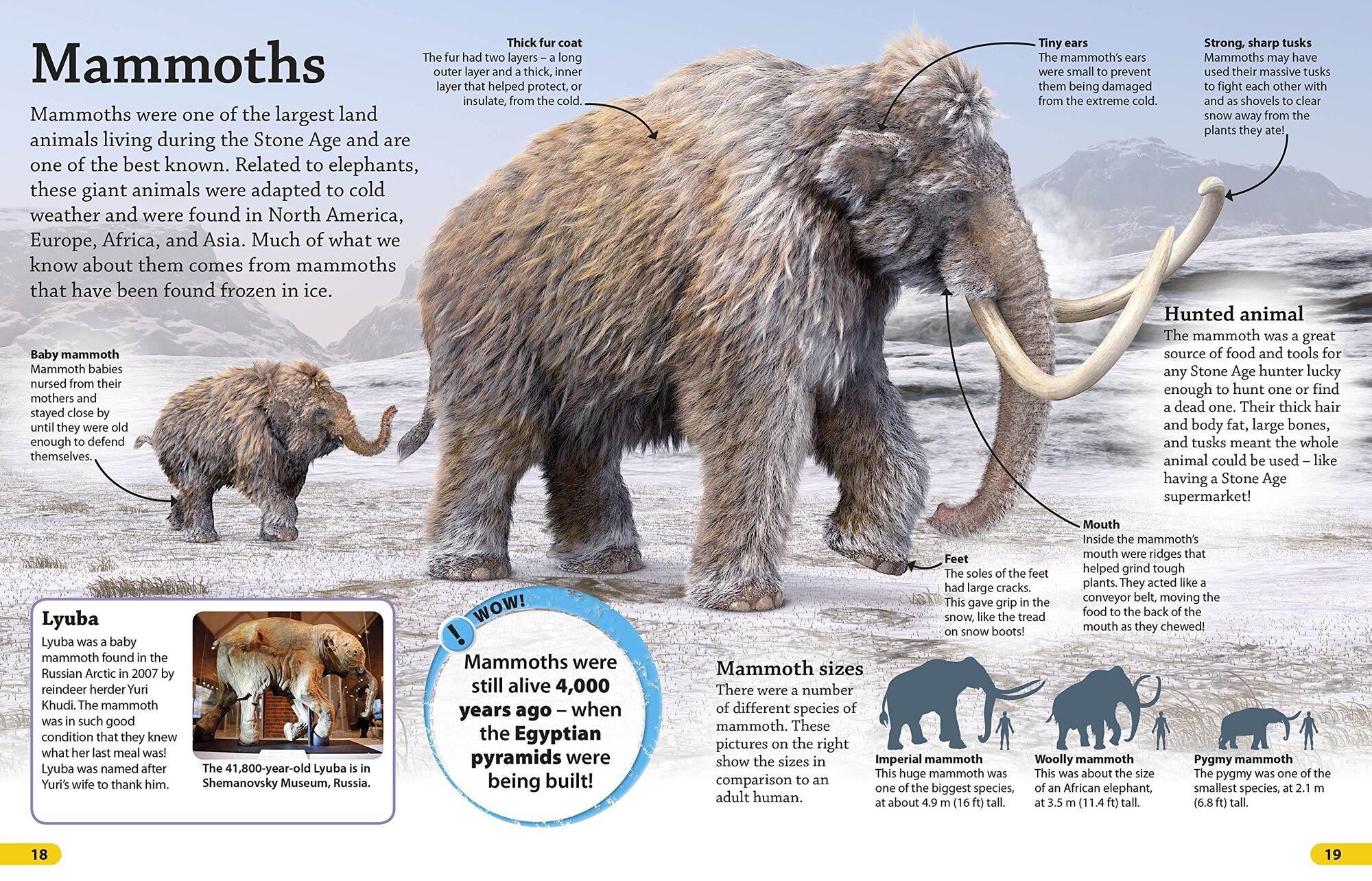 Схема woolly mammoth