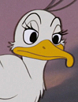 25. seagull