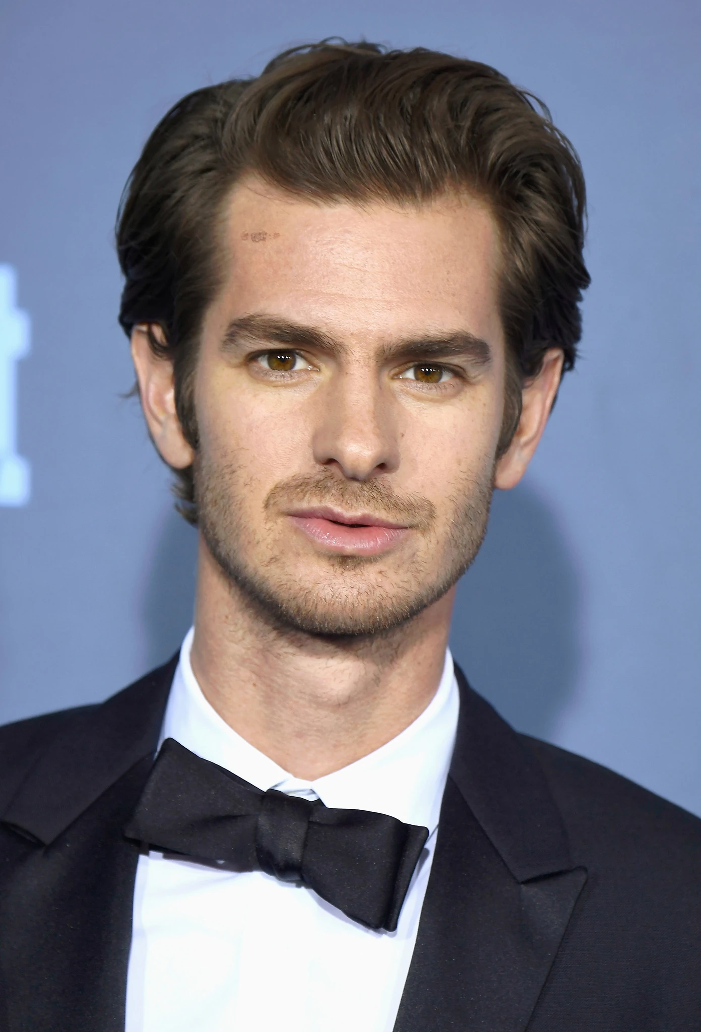 Andrew Garfield | The Parody Wiki | Fandom