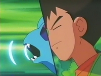 Zubat Using Supersonic