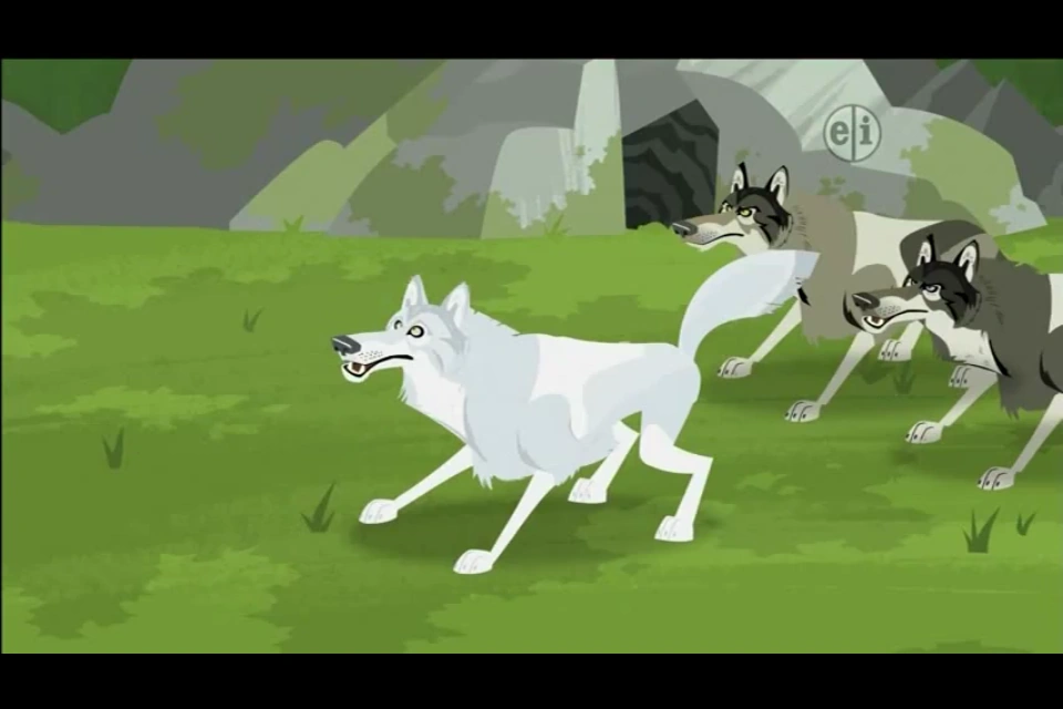 Image - Gray Wolf (Wild Kratts).PNG | The Parody Wiki | FANDOM powered