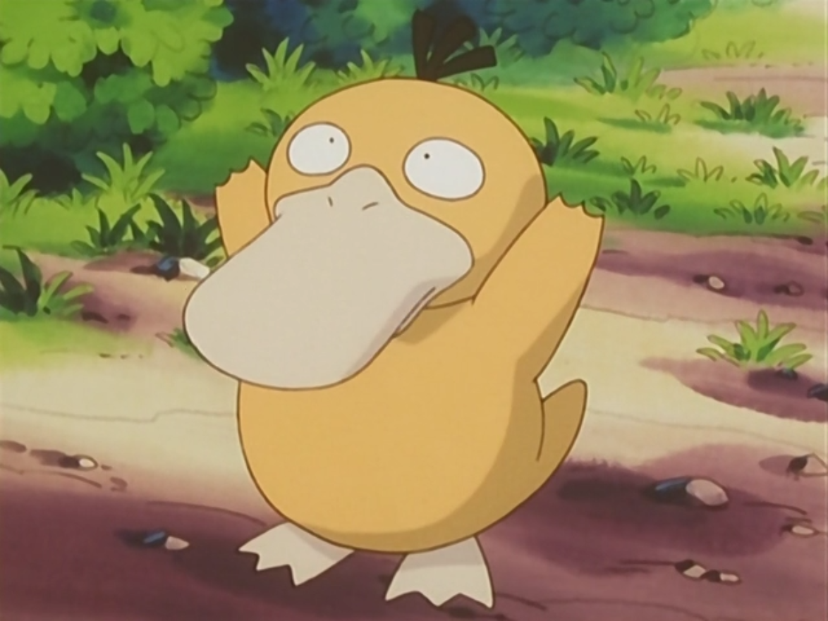 31 inch psyduck