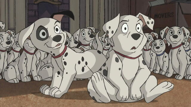 Image - 101-dalmatians-2-disneyscreencaps.com-638.jpg | The Parody Wiki ...