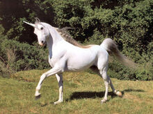 Unicor1