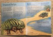 Turtles In Extinctosaurus Encyclopedia Of Lost And - 