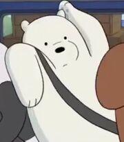 Ice Bear