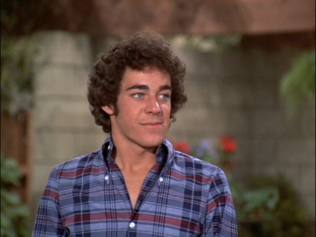 Image result for barry williams greg brady