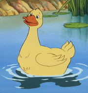 Little Bear Duck